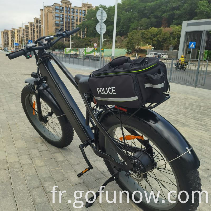 Batterie au lithium 750W 48V Bicycle électrique 26 pouces Fat Tire Beach Snow Electric Bike E-Bike